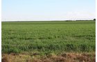 Property photo 64 - LAND AUCTION, 3255+/- Acres offered in 13 Tracts